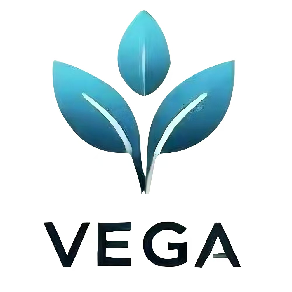 VEGA BI Logo